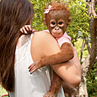 Monkey annabelle new arrivals