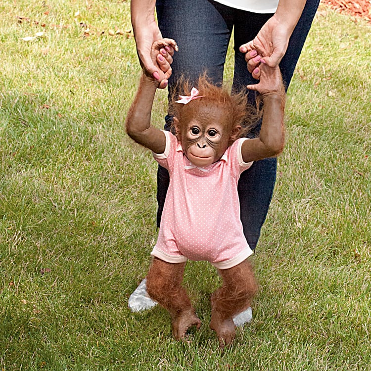 Ashton drake monkey hot sale doll