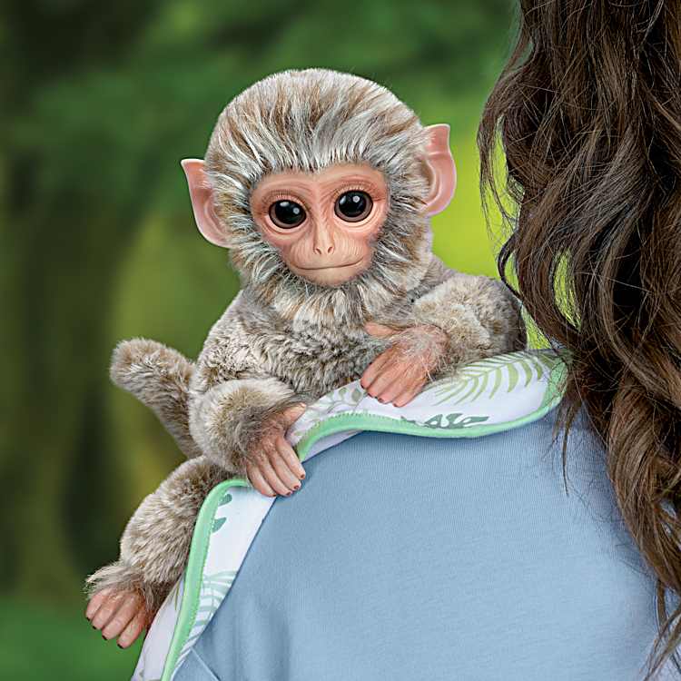 12 Borneo Southern Pig-Tailed Macaque Monkey Doll With Realistic