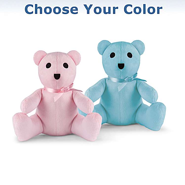 Teddy Bear with Shelby Hoody