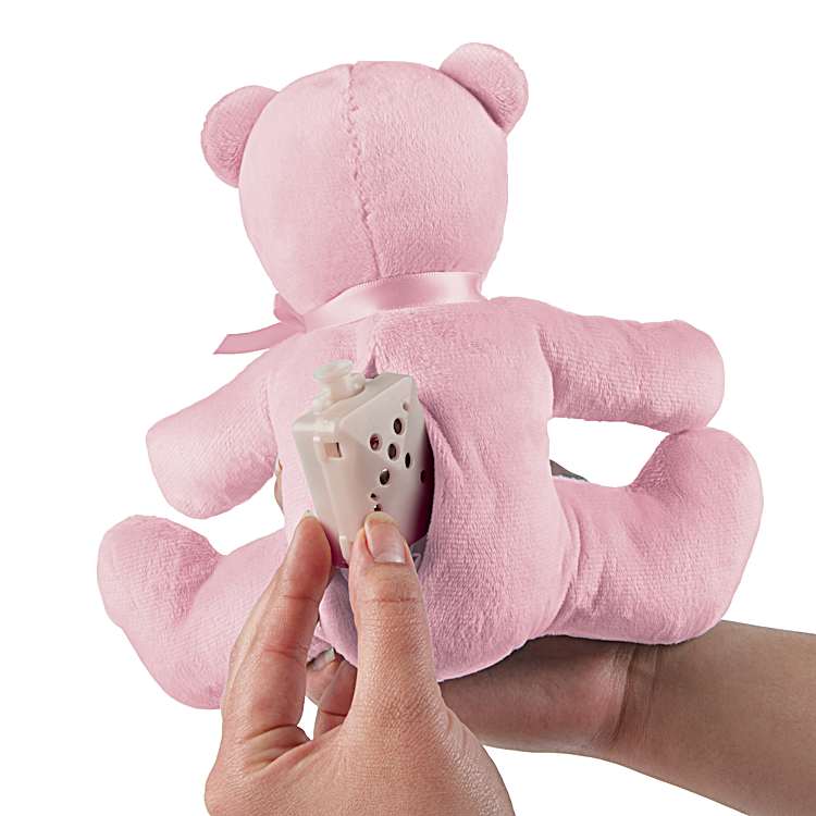 Teddy Bear with Shelby Hoody
