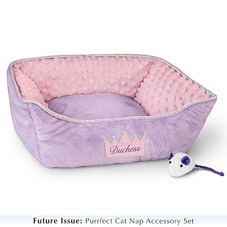 Fabulous Feline Plush Kitten And Accessory Collection For 6+ With